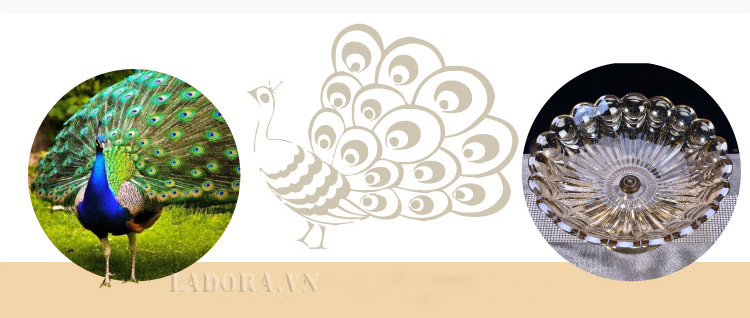 đĩa trái cây mô tả con chim công quý phái tại ladora shop