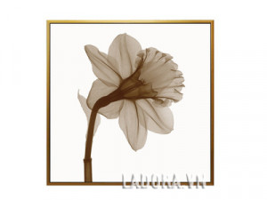 tranh canvas đẹp tại shop decor ở hà nội ladora