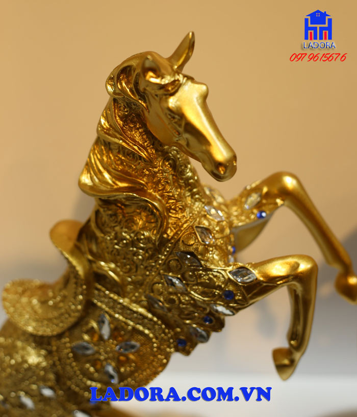 những hình ảnh chi tiết về sản phẩm