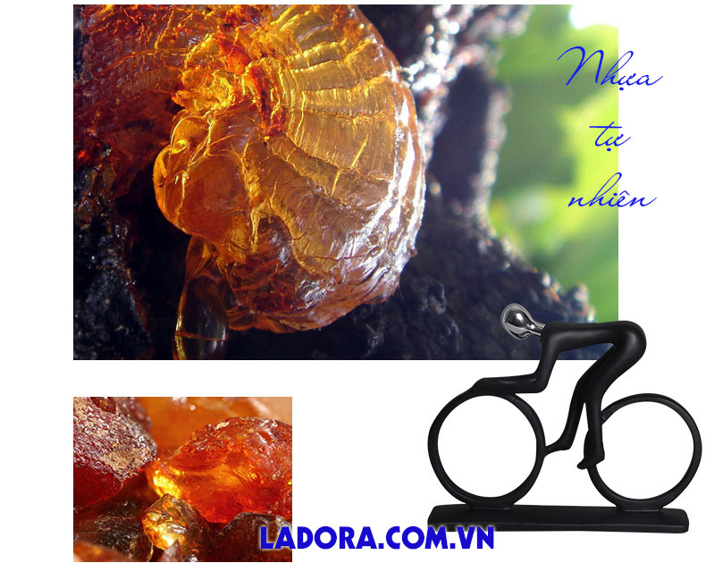 sản phẩm được làm từ nhựa tự nhiên - ladora shop ở hà nội
