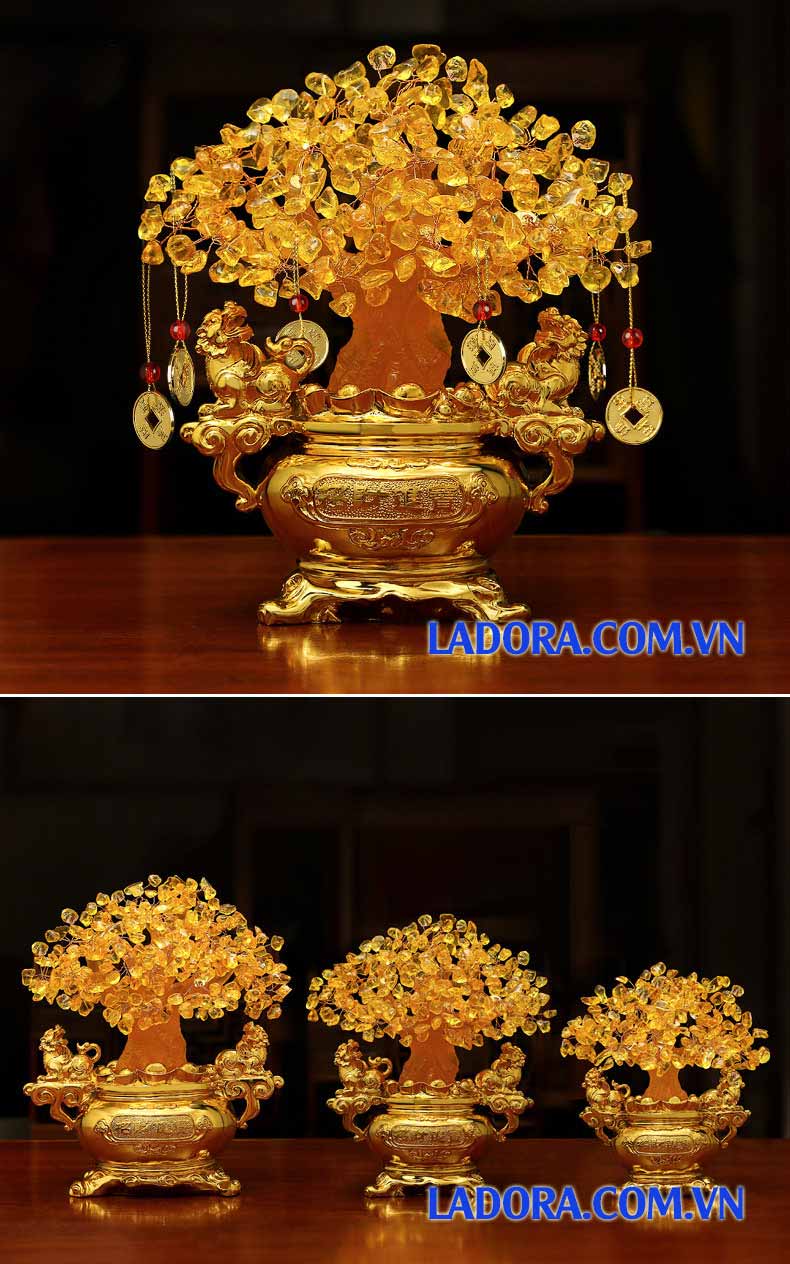 cây tài lộc trang trí phòng khách đẹp tại ladora shop ở hà nội