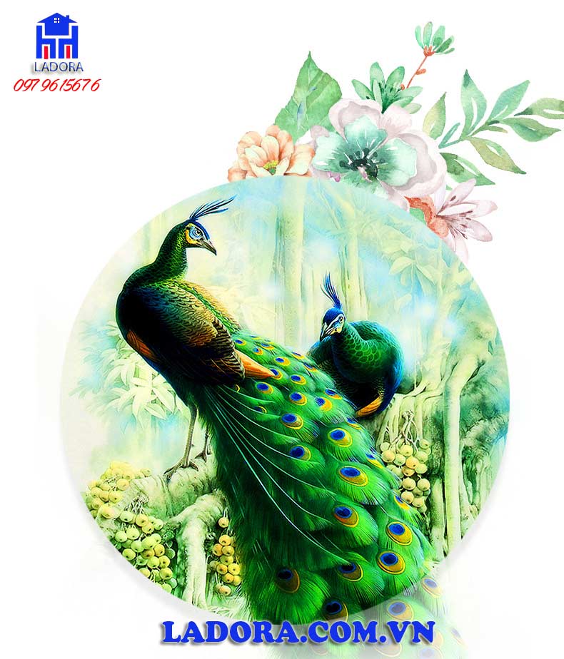 Hình ảnh con Công đẹp nhất thế giới 2022