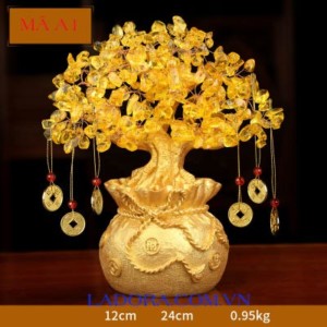 decor trang trí nhà đẹp với cây tiền vàng tài lộc