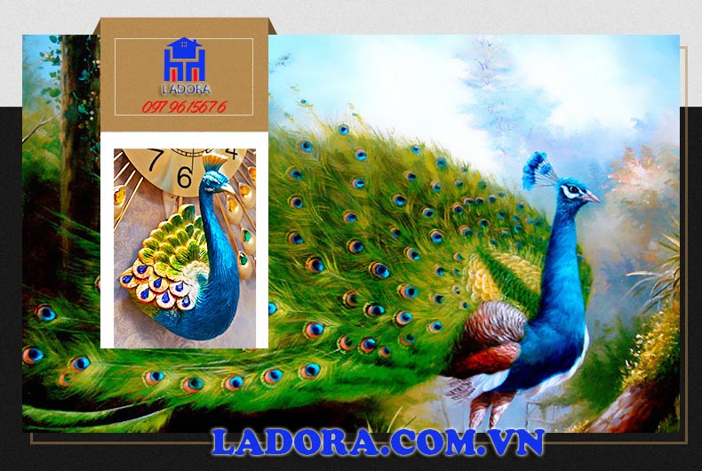 chim công xòe cánh với bộ lông lộng lẫy và rực rỡ