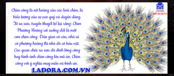 decor trang trí nhà đẹp đĩa chim công là một biểu tượng xinh đẹp và cao quý