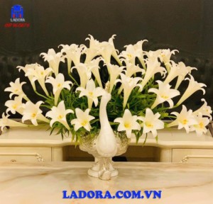 chim công và truyền thuyết xa xưa