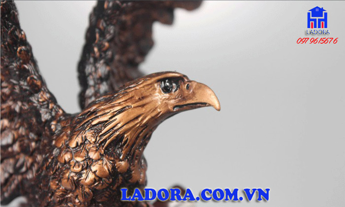 đôi mắt tinh tường và sắc bén của đại bàng