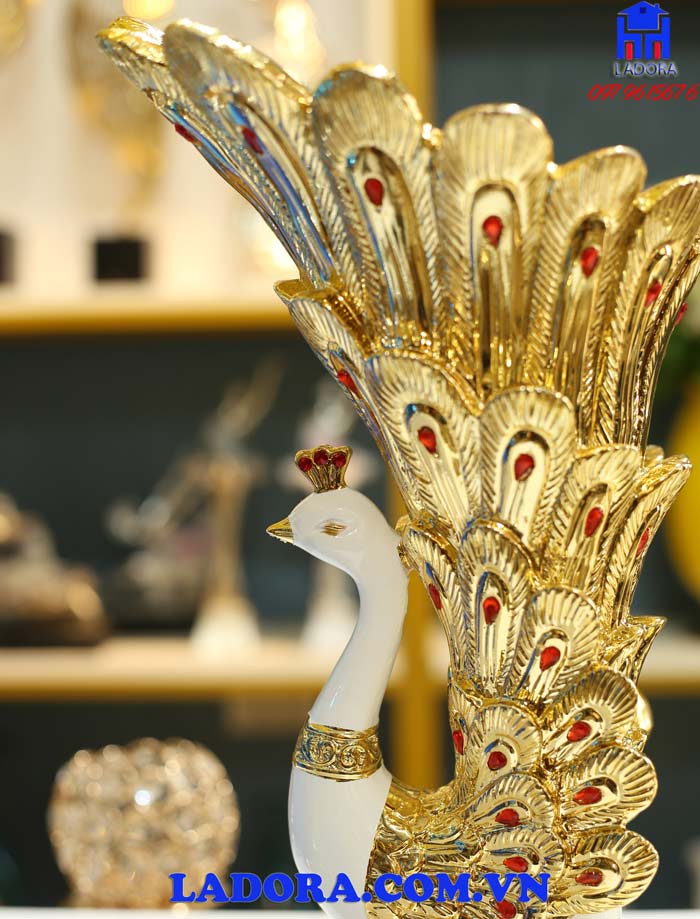 đuôi con chim công với vẻ đẹp lộng lẫy và thu hút