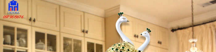 chim công là đại diện của phượng hoàng dưới trần gian