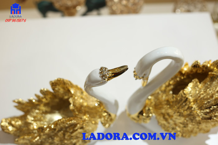 thông tin về sản phẩm của ladora shop