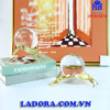 cầu thủy tinh trang trí đẹp tại ladora