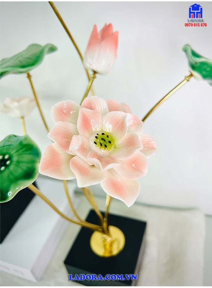 hoa sen với màu sắc thanh nhã