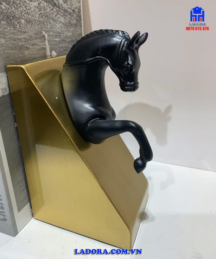 hình ảnh chi tiết trên chặn sách mã đáo thành công