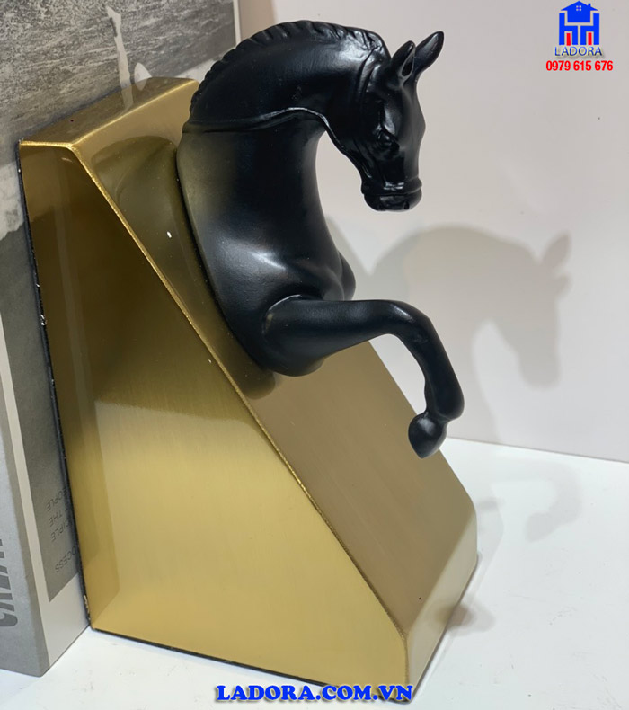 hình ảnh chi tiết trên chặn sách mã đáo thành công