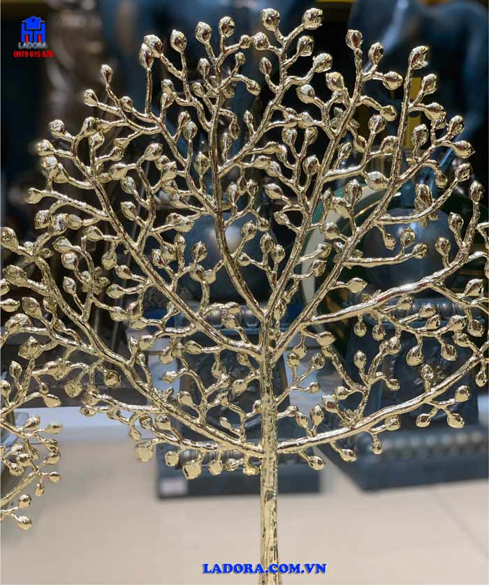 Những hình ảnh chi tiết của cây phú quý tại Ladora Shop