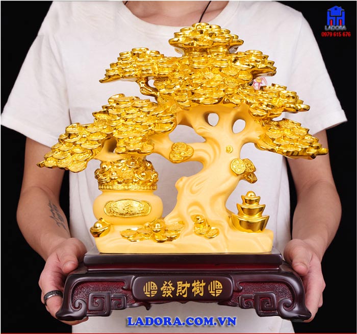 Cây tiền vàng phong thủy đem đến may mắn