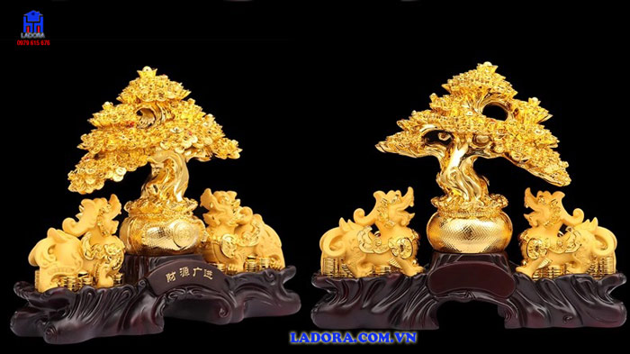 cây tiền vàng decor trang trí phòng làm việc, bàn làm việc, phòng khách