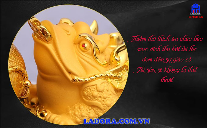 cây tiền vàng với đôi cóc thiềm thừ