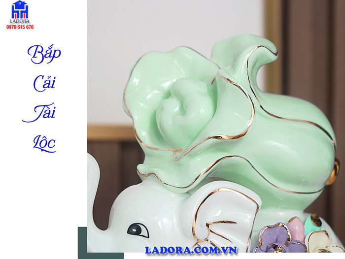 Ý nghĩa của bắp cải trên lưng voi