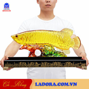 Cá rồng phong thủy đem lại may mắn