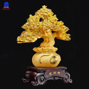 cây tiền vàng phong thủy