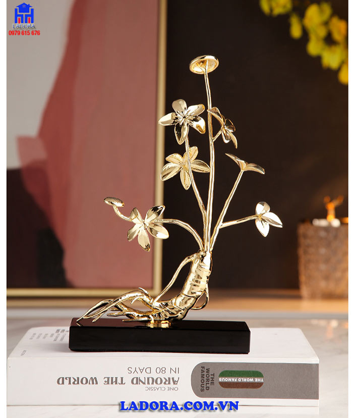 Biểu tượng của sức khỏe - Cây nhân sâm